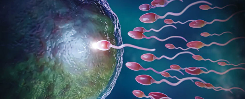 best infertility treatment in Kerala